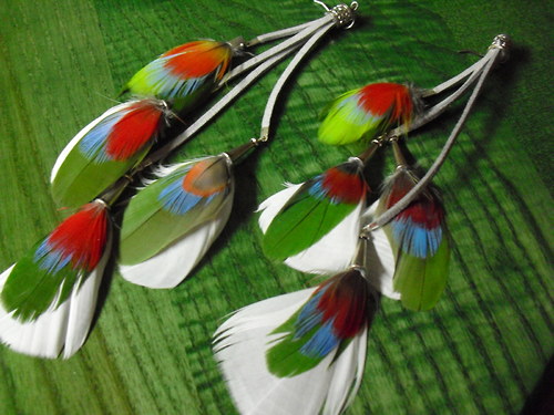 Parrot mix — foto 1