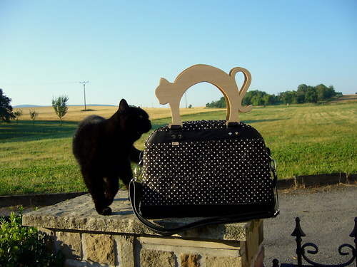 Kožená - Cat and dots — foto 1