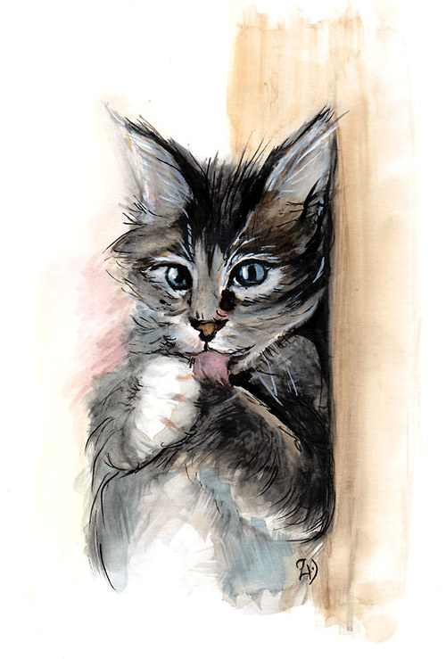 Rozcuchané koťátko — foto 1