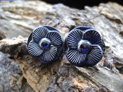 Knoflíkovky ... black flower... — foto 1
