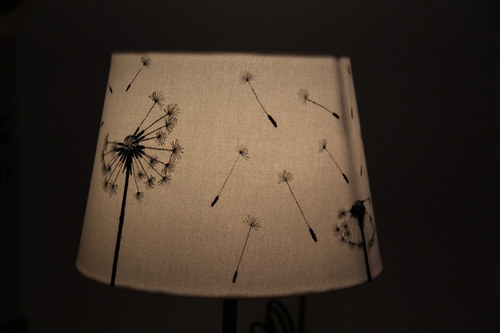 FADED — foto 1
