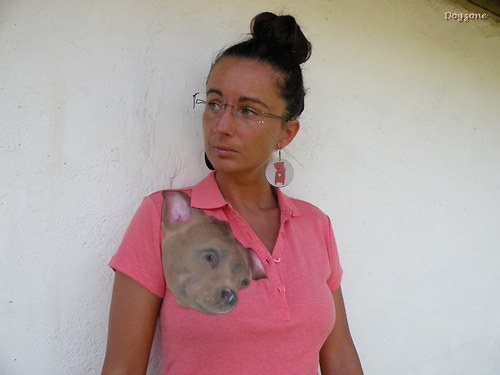 Lola čivavou .. triko 50% sleva — foto 1