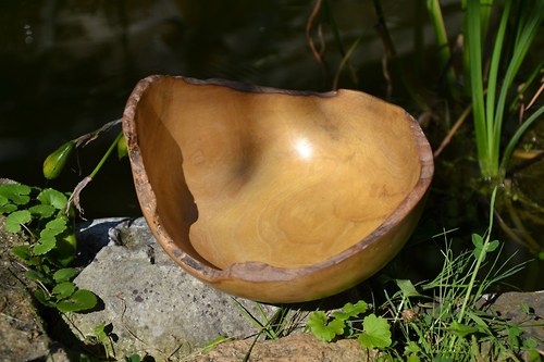 Miska "Křivá, akátová" — foto 1
