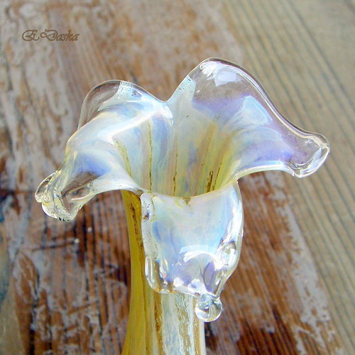 " Narcis " — foto 1