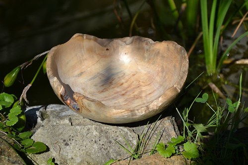 Miska "Křivá, kaštan" — foto 1