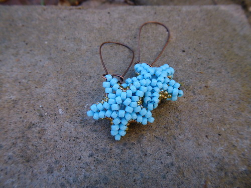 Mořské hvězdice - Blue Turquoise — foto 1