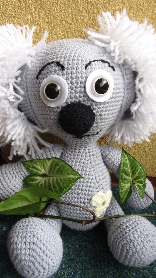Medvídek koala — foto 1