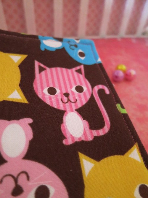 Kočičky mají holčičky rády .-) — foto 1