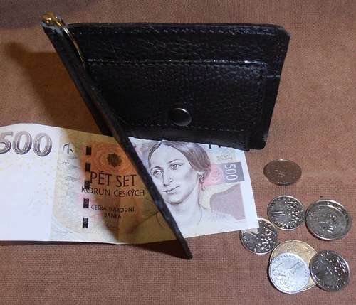 Peněženka "dolarka" — foto 1