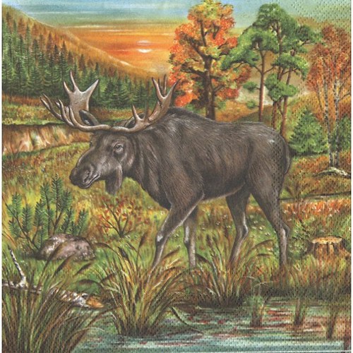 Ubrousek - sob — foto 1
