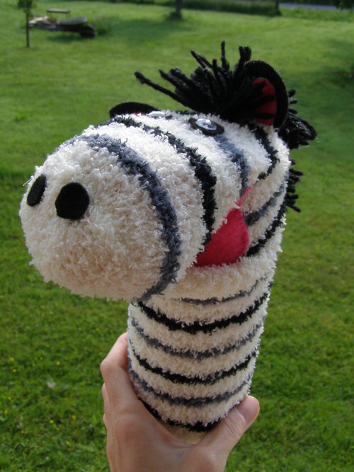 PONOŽKÁČI- zebra — foto 1
