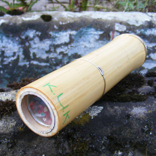 Krasohled bambus — foto 1