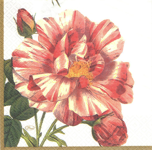 Ubrousek - růže 1 — foto 1