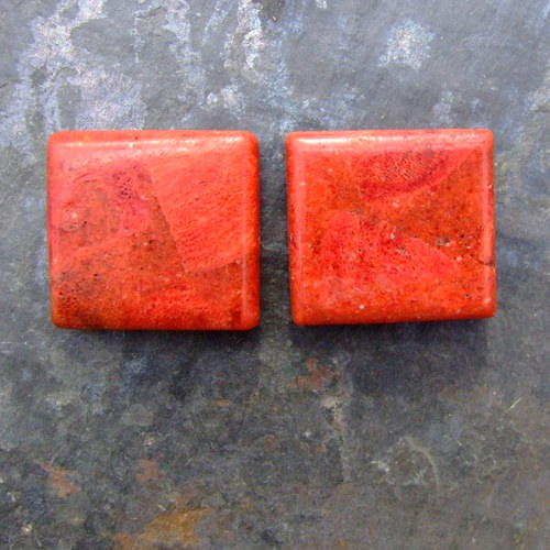 Korál 25x23mm — foto 1