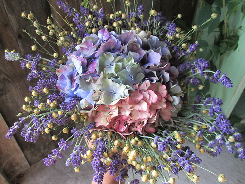 Duhovka z Provence — foto 1