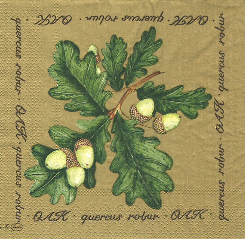 Ubrousek - žaludy