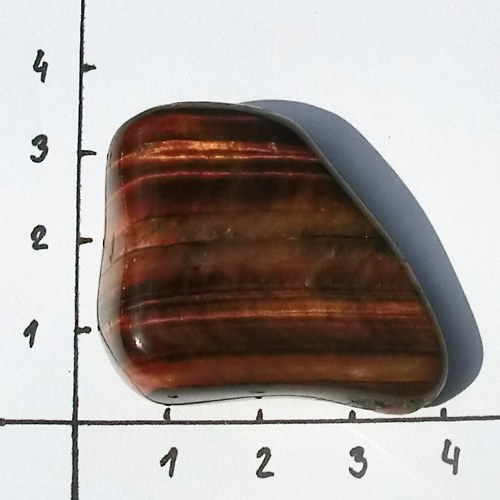 Býčí oko XL č.1 - 24 g