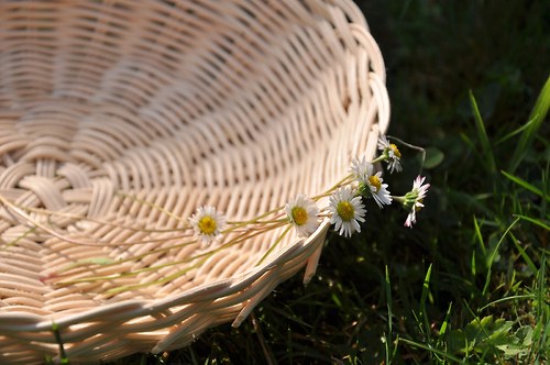 Ošatka, průměr 25 cm