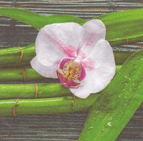 Ubrousek - orchidej a bambus