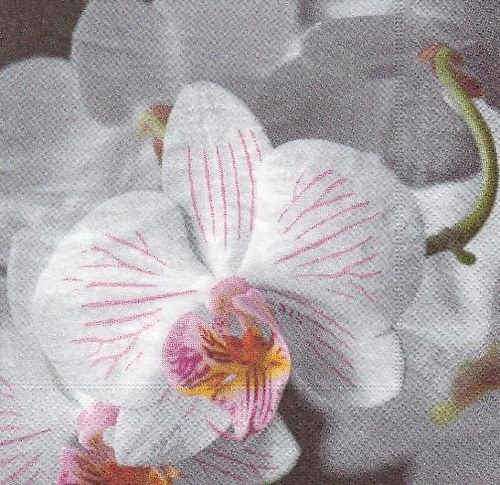 Ubrousek - orchidej