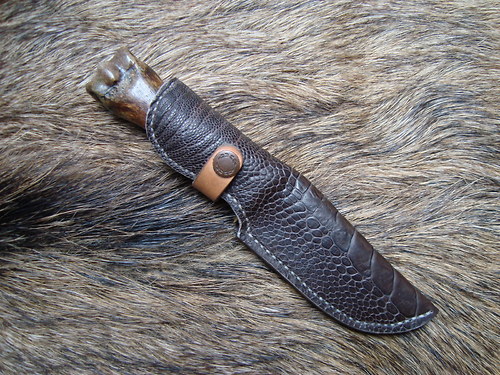 Safari — foto 1