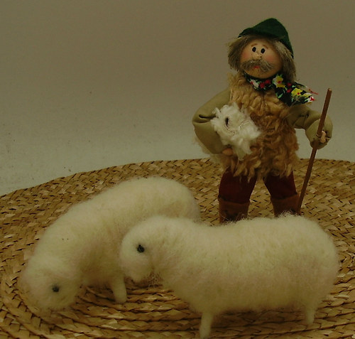 Ovčák s ovcemi — foto 1