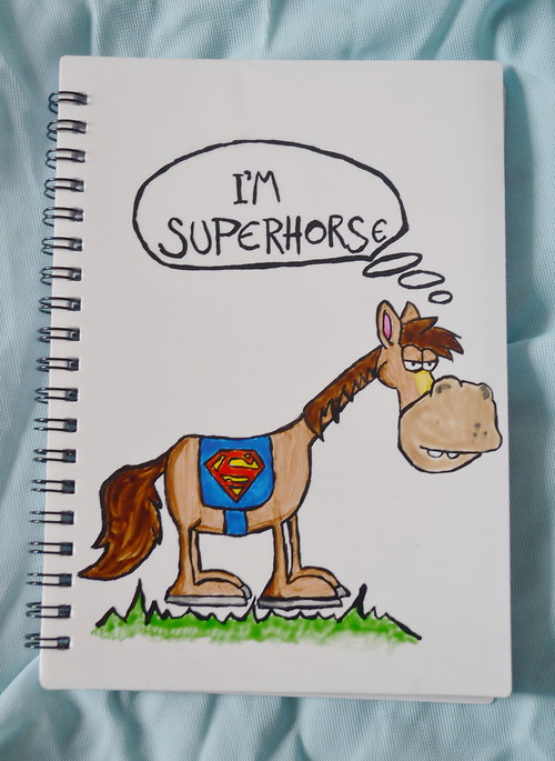 Zápisník - I´m superhorse — foto 1