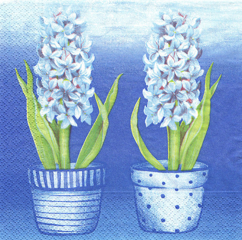 Ubrousek - hyacinty — foto 1