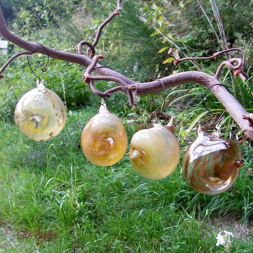Ptačí rodinka — foto 1