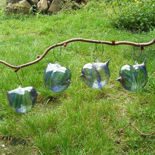 Modro - zelení — foto 1