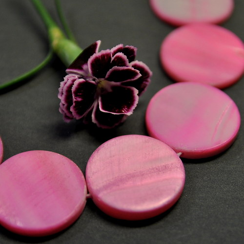 PER882 Perleť kolečko Pink 20 mm — foto 1