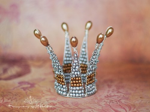 Princess from the silver kingdom — foto 1