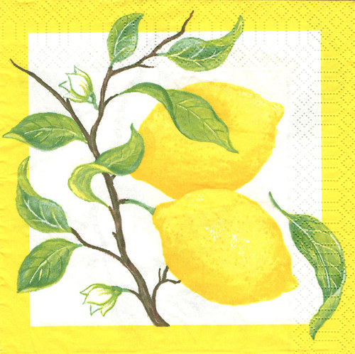 Ubrousek - citrony — foto 1