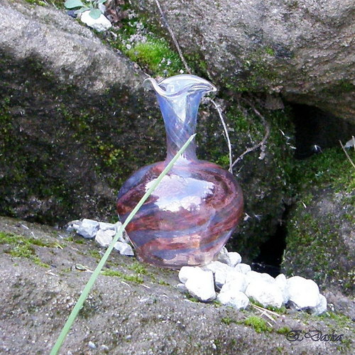 Modro - červená — foto 1