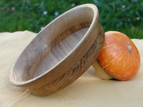 Dubová pruhovaná — foto 1