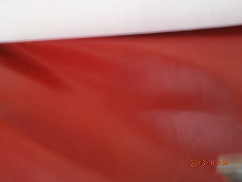 Koženka červená 2 — foto 1