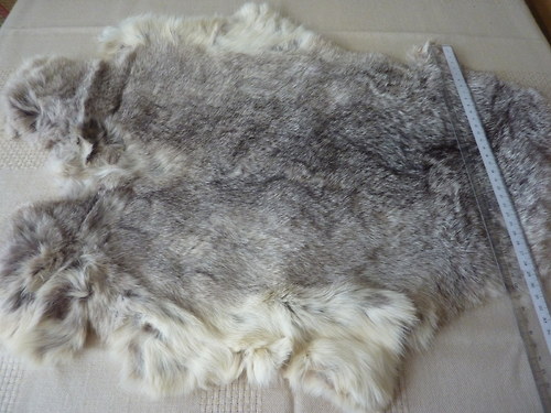 Králík — foto 1
