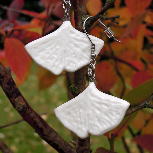 Ginkgo — foto 1