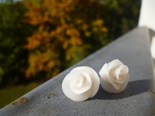 Růžičky - porcelánové — foto 1