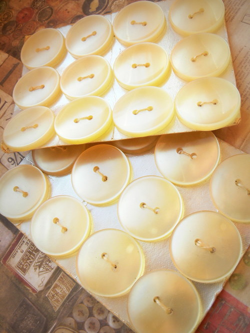 Knoflíkové plato — foto 1