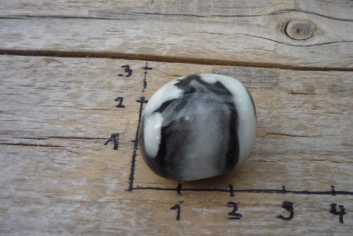 Mušlový kámen P2174 — foto 1