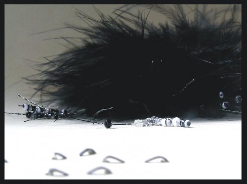 The crow — foto 1