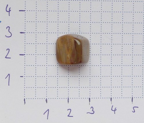 Zkamenělé dřevo -trojhránek — foto 1