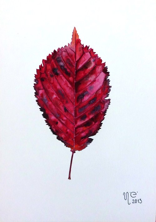 Prunus serrulata. Akvarel. — foto 1
