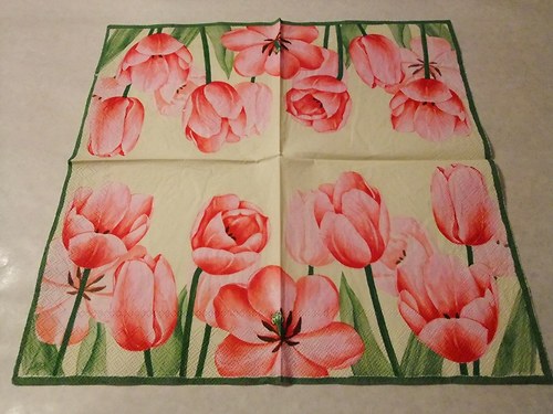 Květiny - tulipány 12.