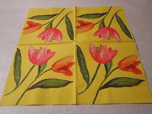 Květiny - tulipány 21.