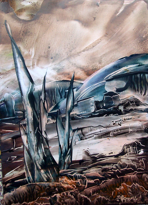 Krajina.. — foto 1