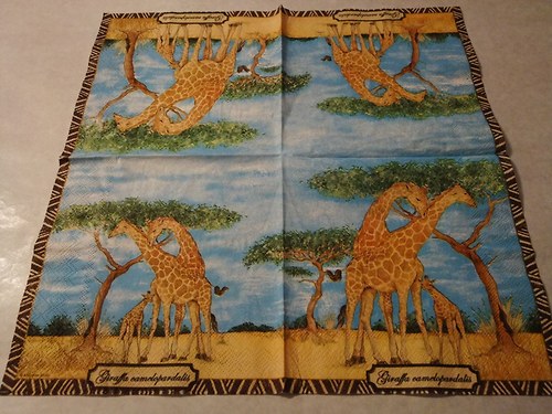 Afrika 20.