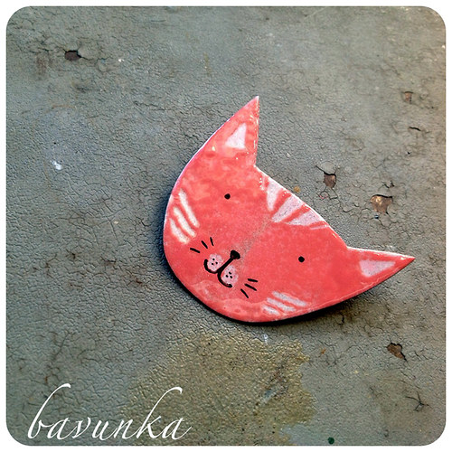 Kočka — foto 1