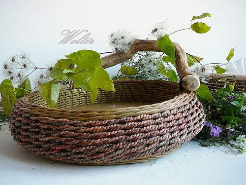 Mísa ,,Robinson,, — foto 1